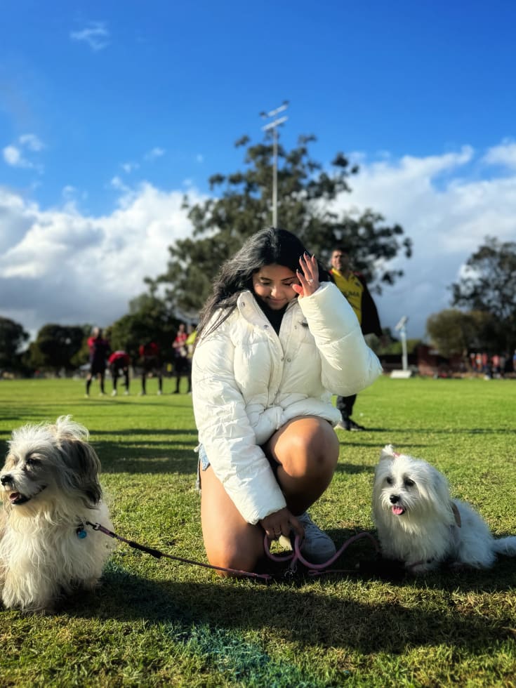 Photo in Sitter's gallery