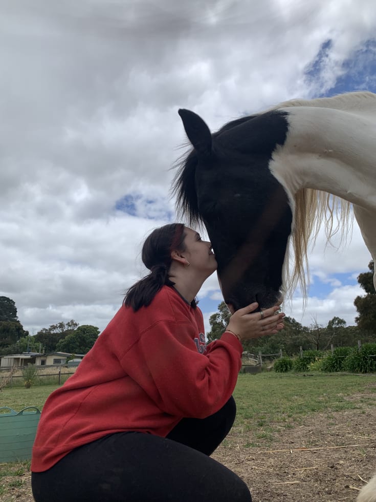 Photo in Sitter's gallery