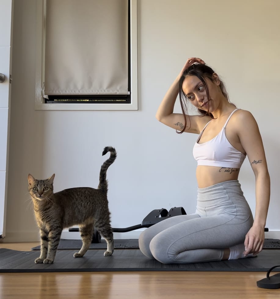 Photo in Sitter's gallery