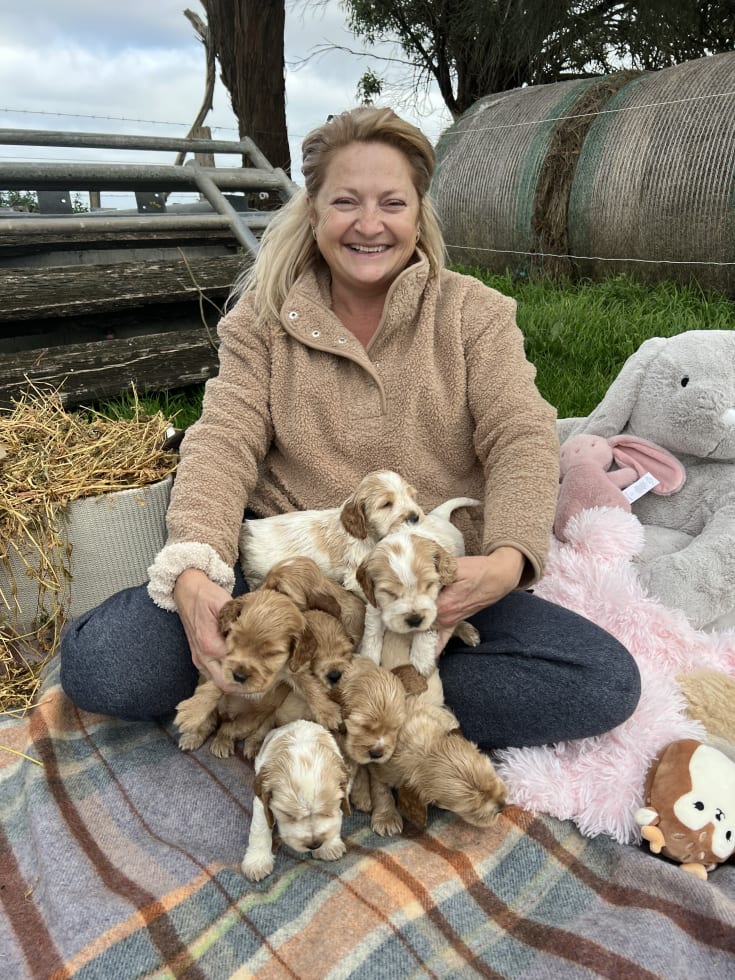 Photo in Sitter's gallery