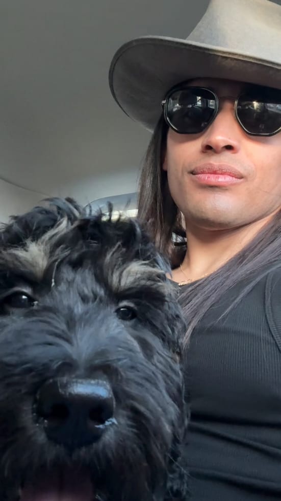 Photo in Sitter's gallery