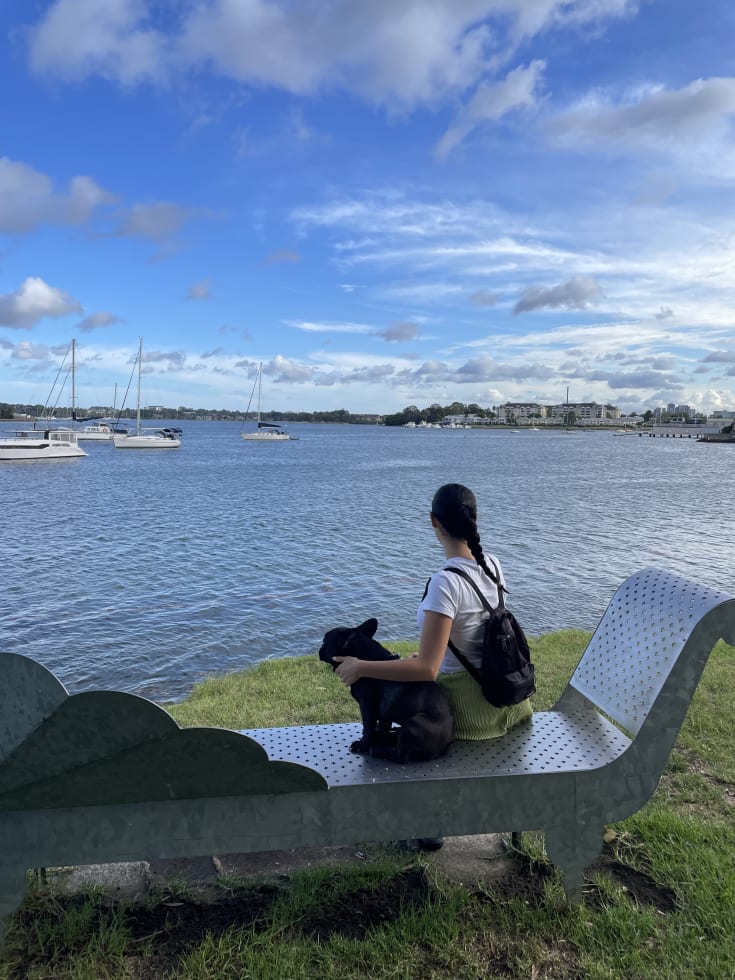 Photo in Sitter's gallery