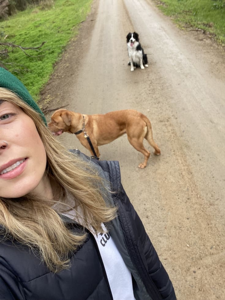 Photo in Sitter's gallery