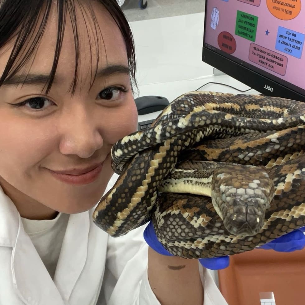 Photo in Sitter's gallery