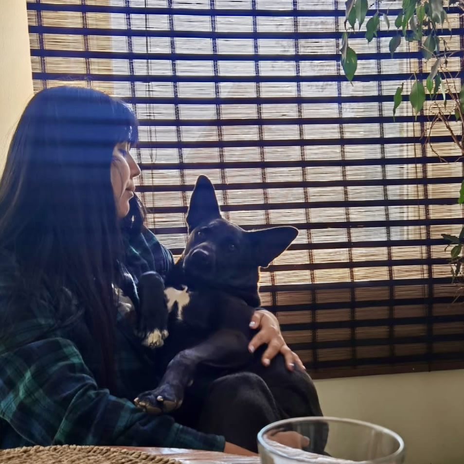 Photo in Sitter's gallery