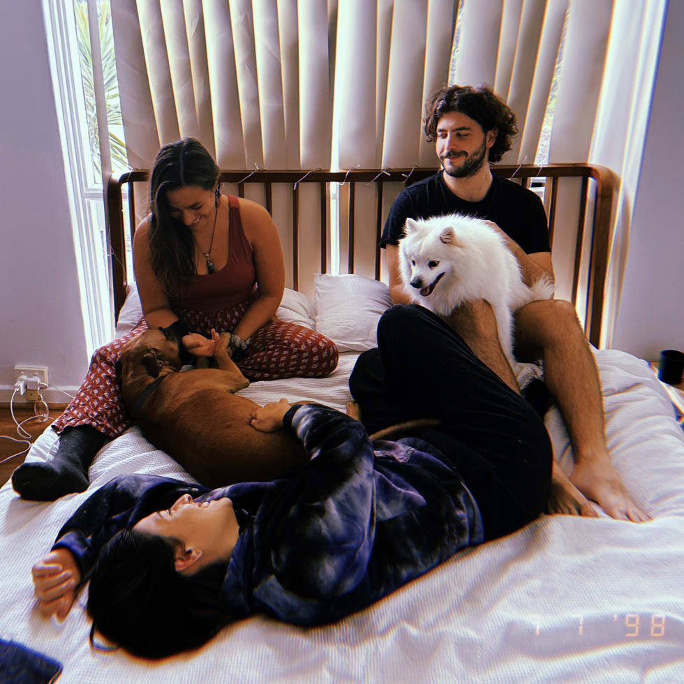 Photo in Sitter's gallery