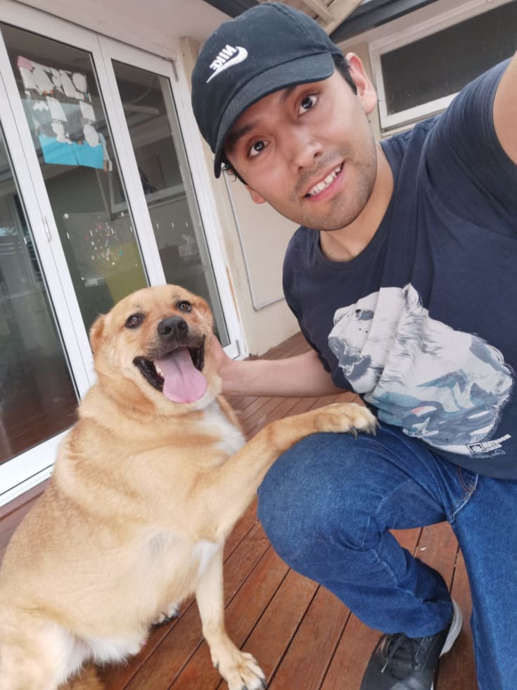 Photo in Sitter's gallery