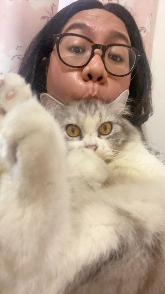 Photo in Sitter's gallery