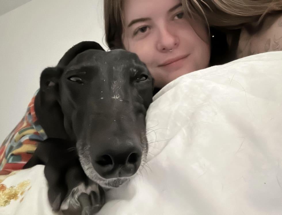 Photo in Sitter's gallery