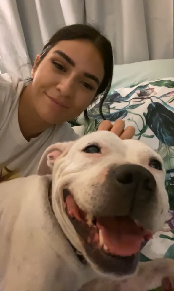 Photo in Sitter's gallery