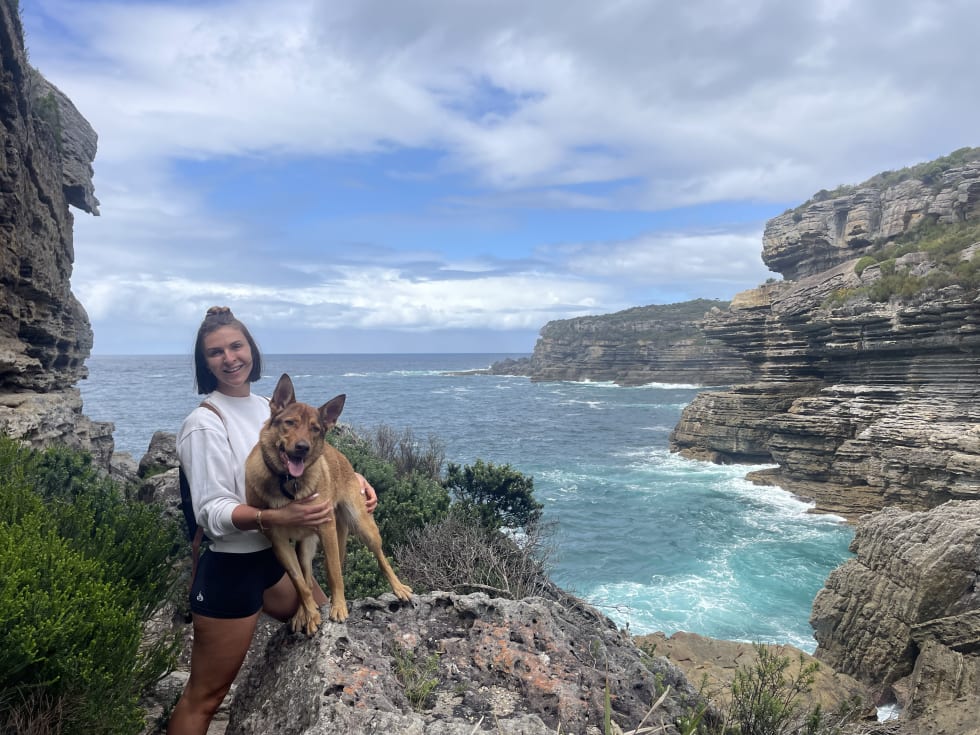 Photo in Sitter's gallery