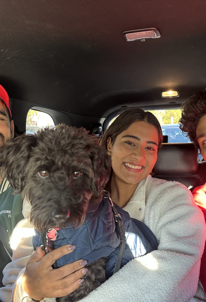 Photo in Sitter's gallery