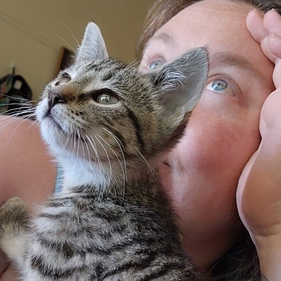 Photo in Sitter's gallery