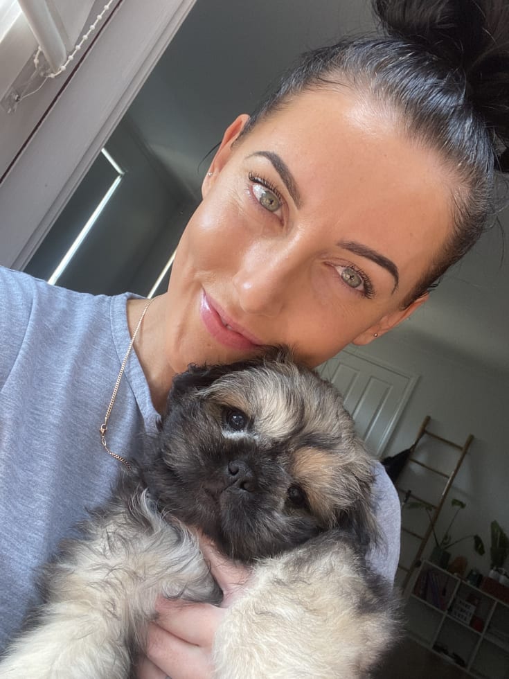 Photo in Sitter's gallery