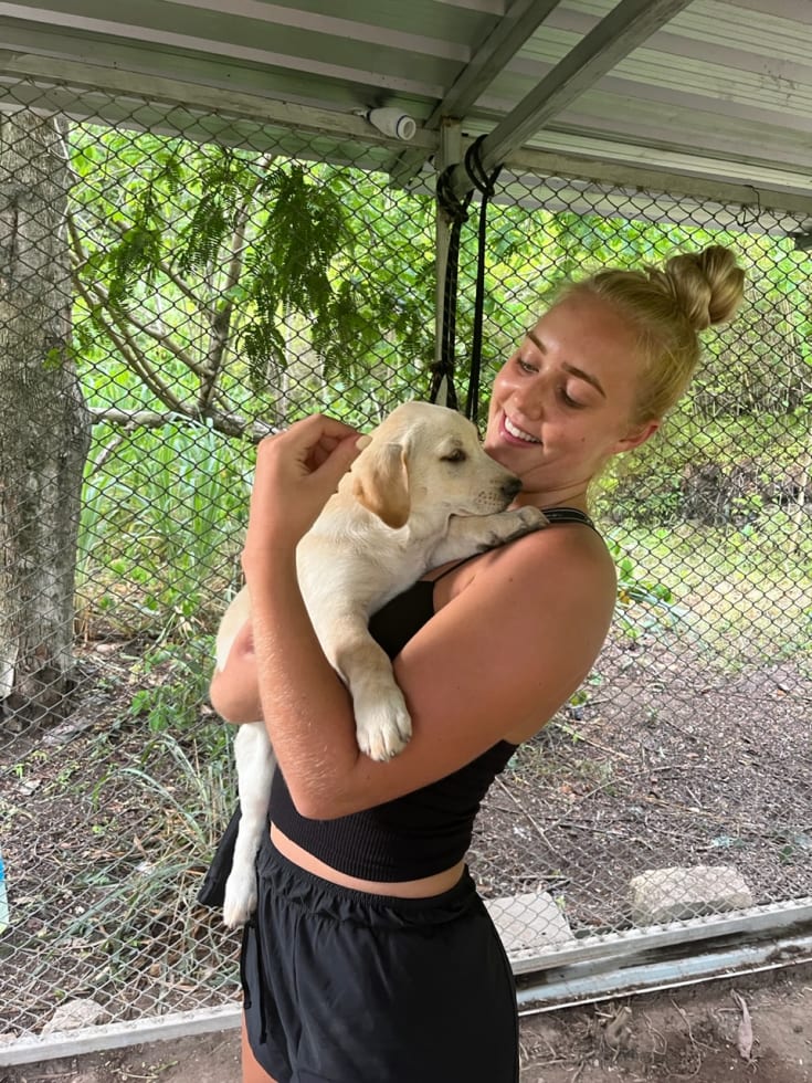 Photo in Sitter's gallery