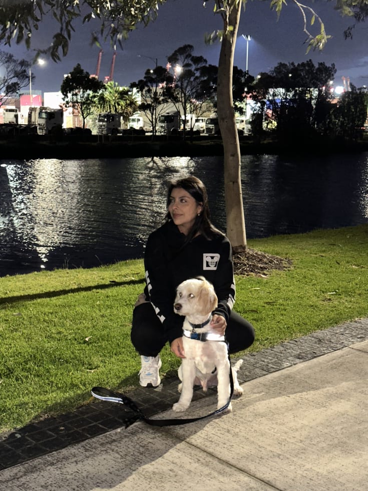 Photo in Sitter's gallery