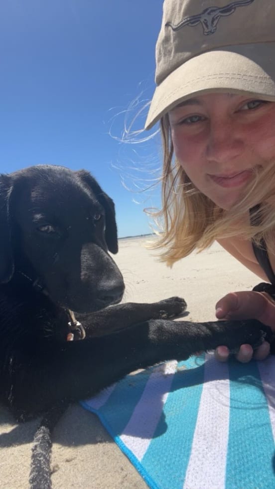 Photo in Sitter's gallery