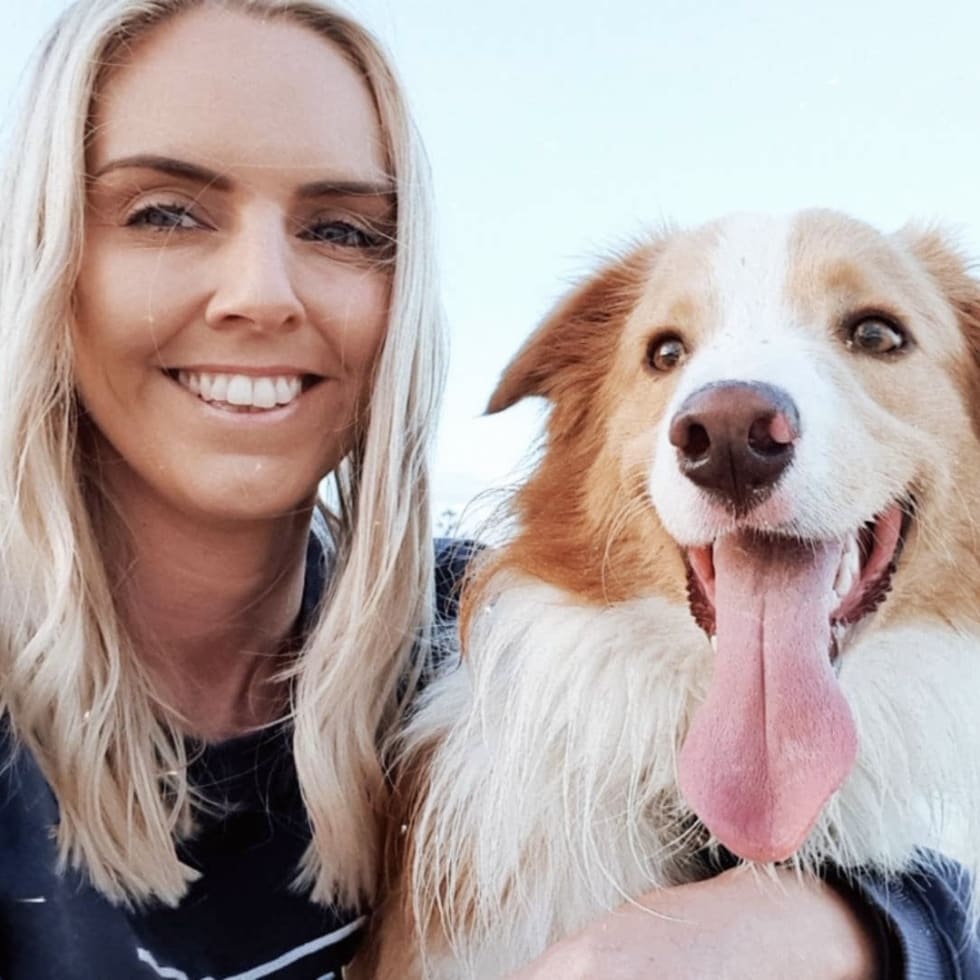 Photo in Sitter's gallery