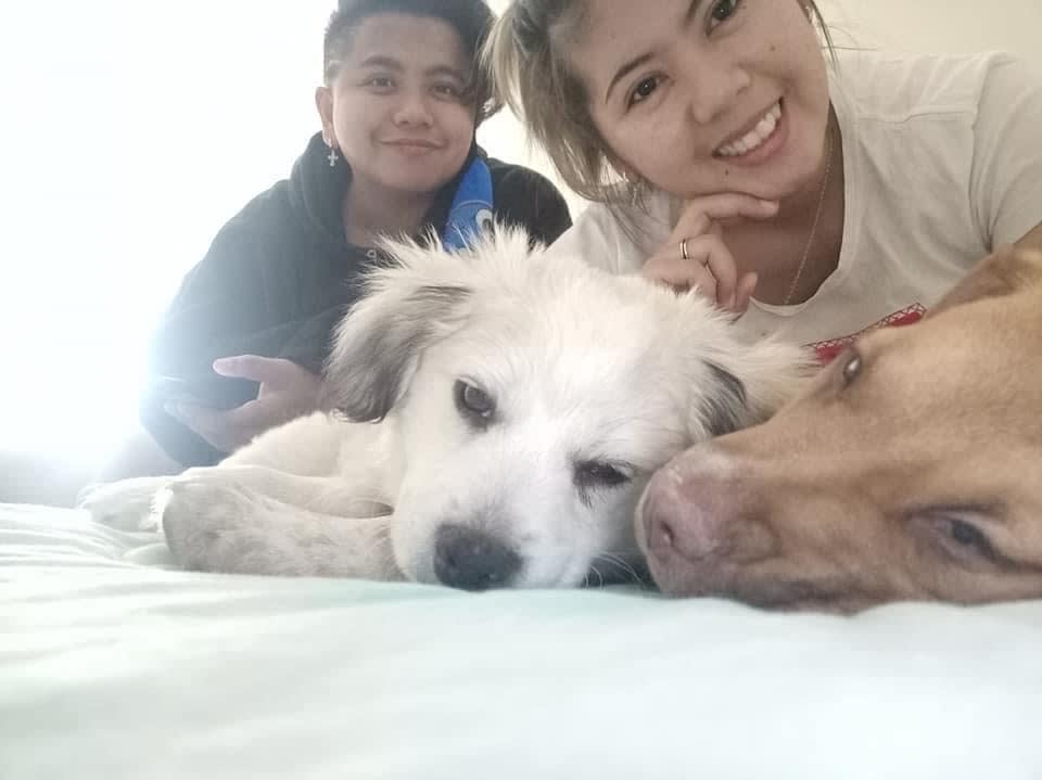 Photo in Sitter's gallery