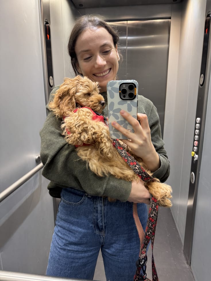 Photo in Sitter's gallery