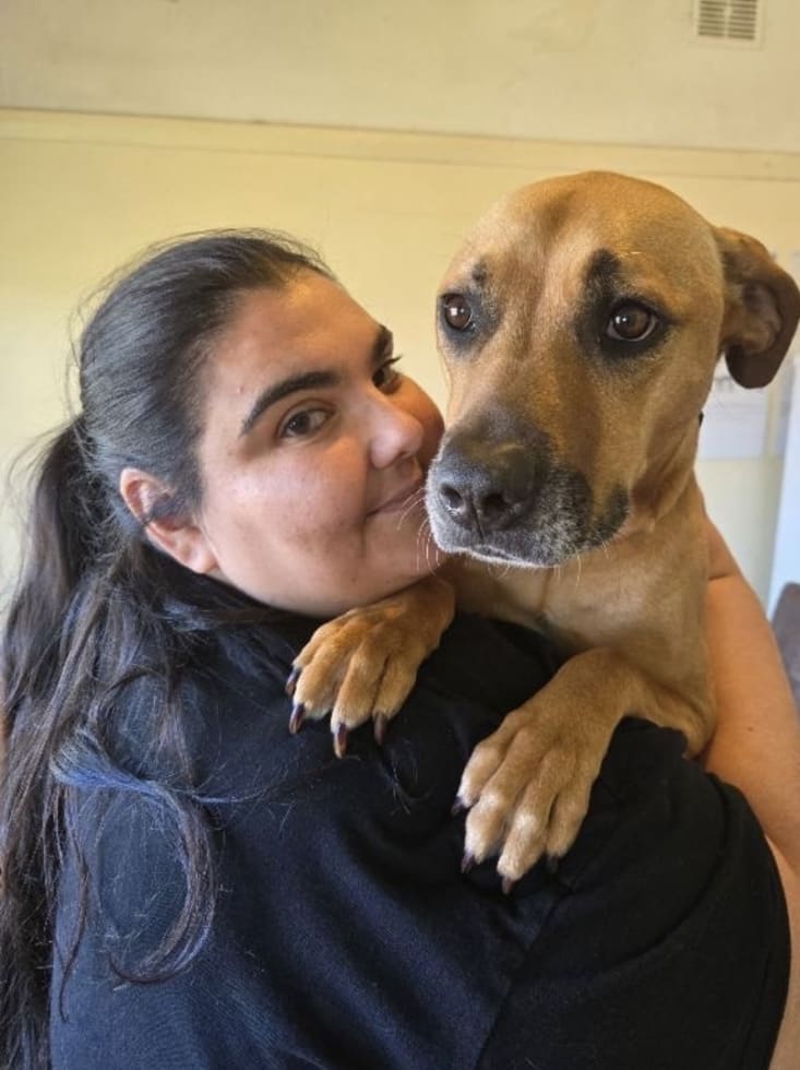 Photo in Sitter's gallery