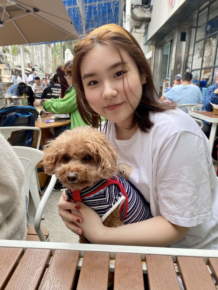 Photo in Sitter's gallery