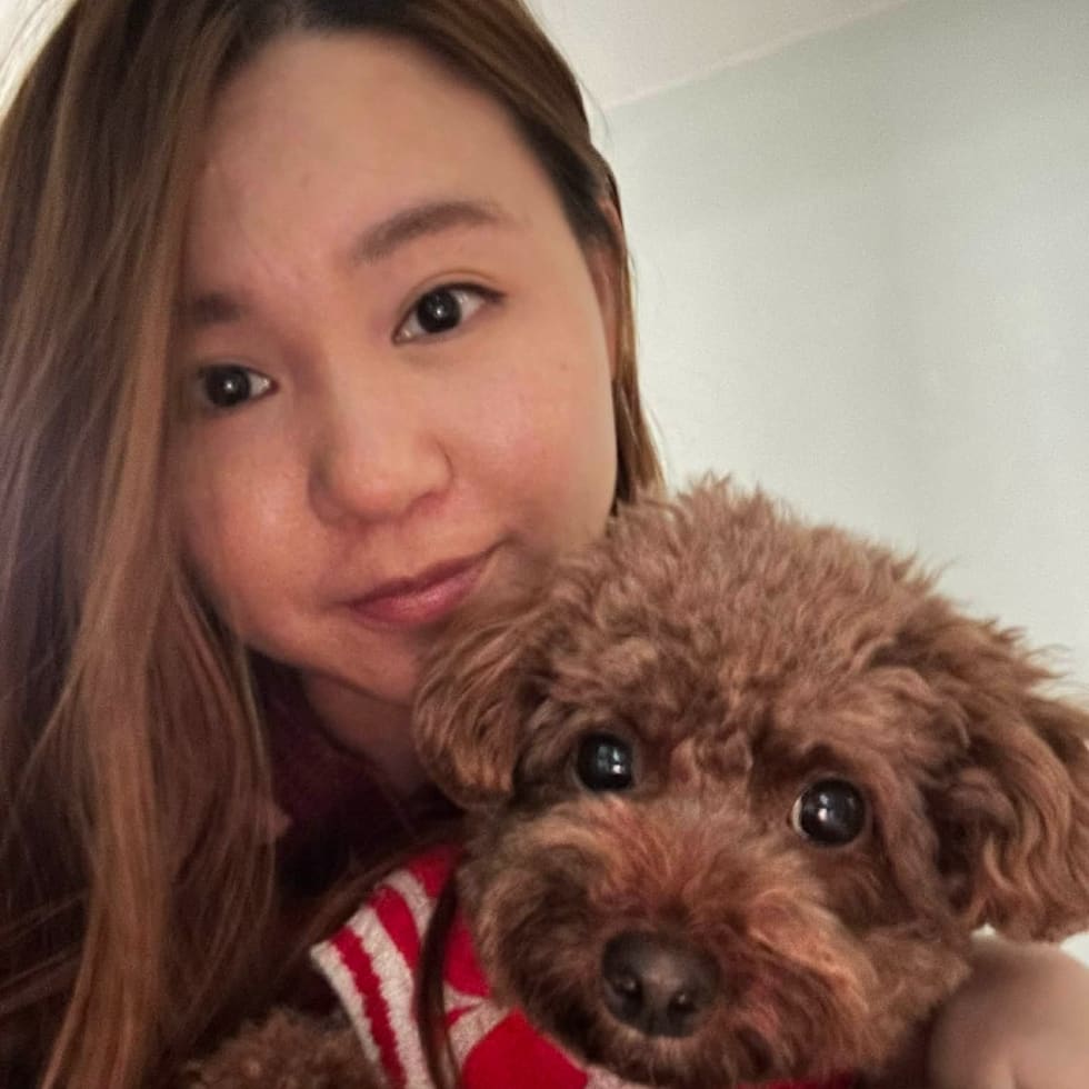 Photo in Sitter's gallery