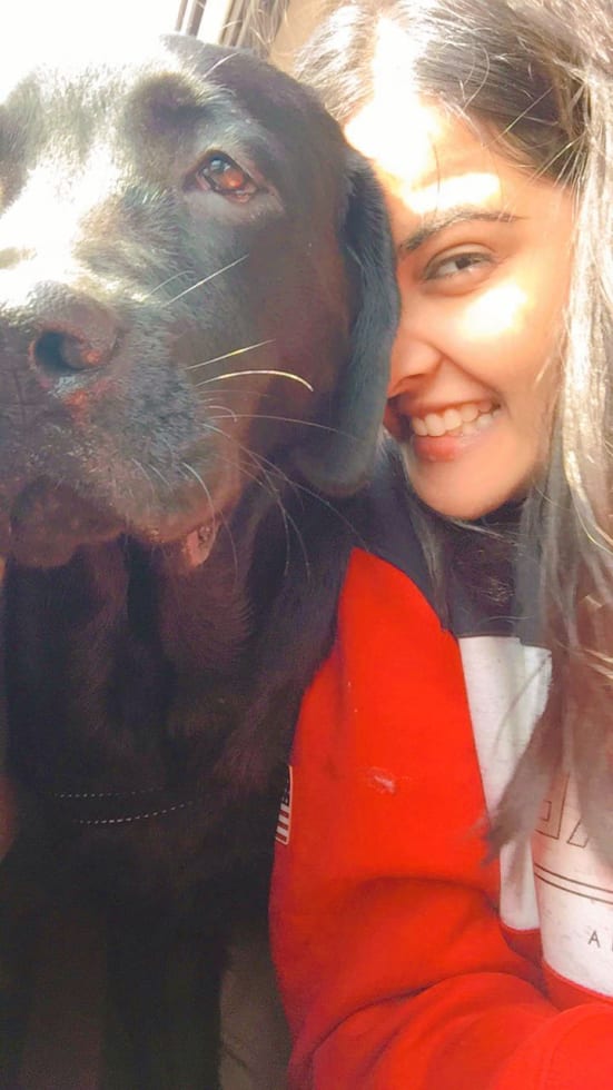 Photo in Sitter's gallery