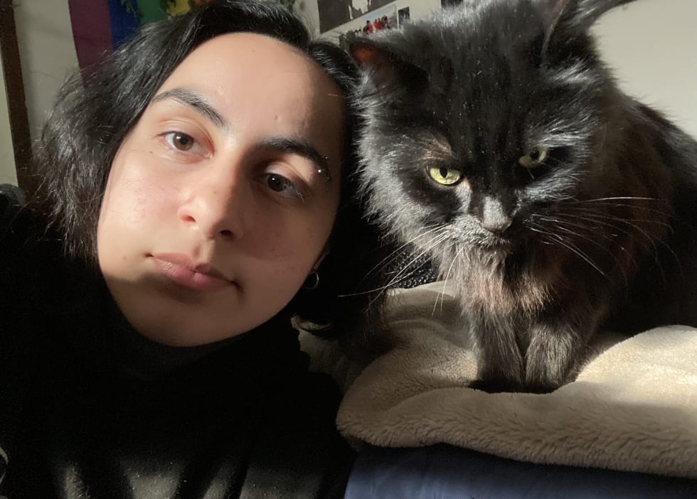 Photo in Sitter's gallery