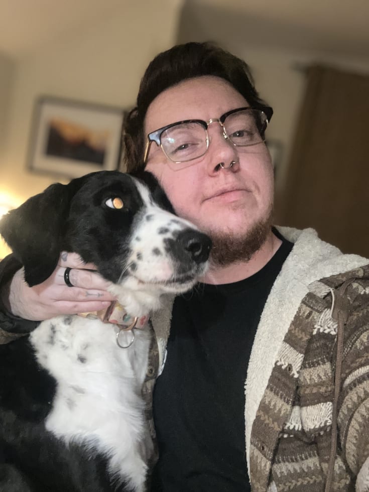 Photo in Sitter's gallery