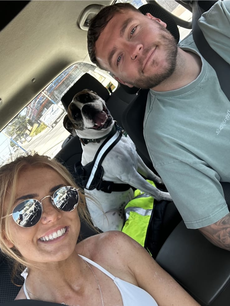 Photo in Sitter's gallery