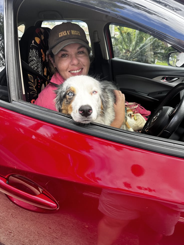 Photo in Sitter's gallery