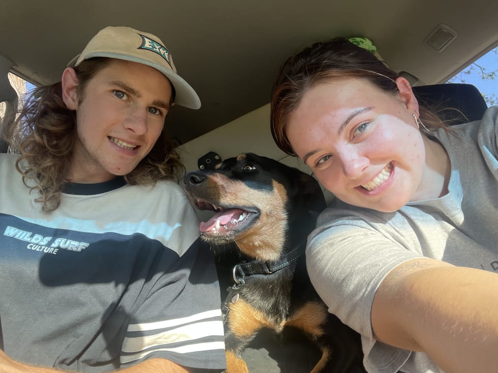 Photo in Sitter's gallery