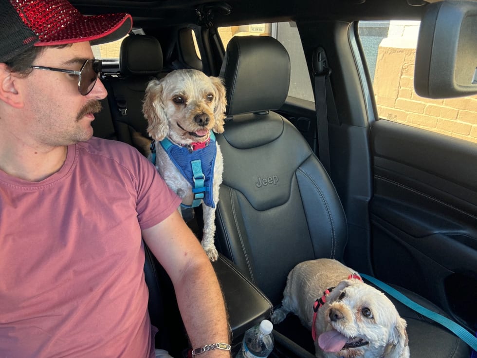 Photo in Sitter's gallery