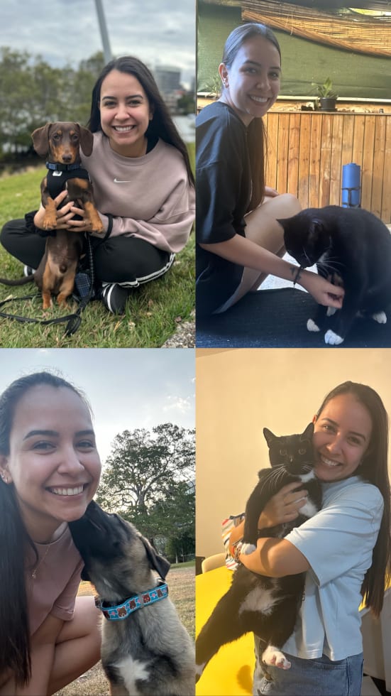 Photo in Sitter's gallery