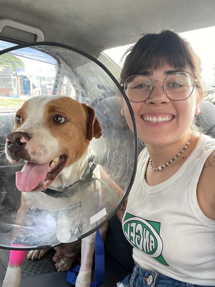 Photo in Sitter's gallery