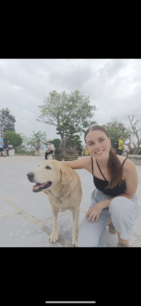 Photo in Sitter's gallery