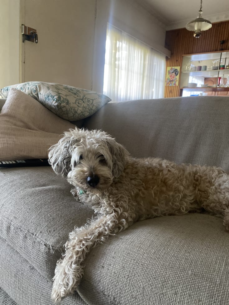 Photo in Sitter's gallery