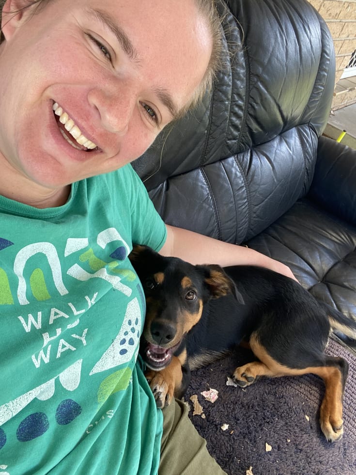 Photo in Sitter's gallery