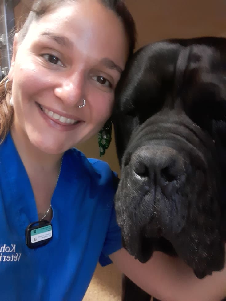 Photo in Sitter's gallery