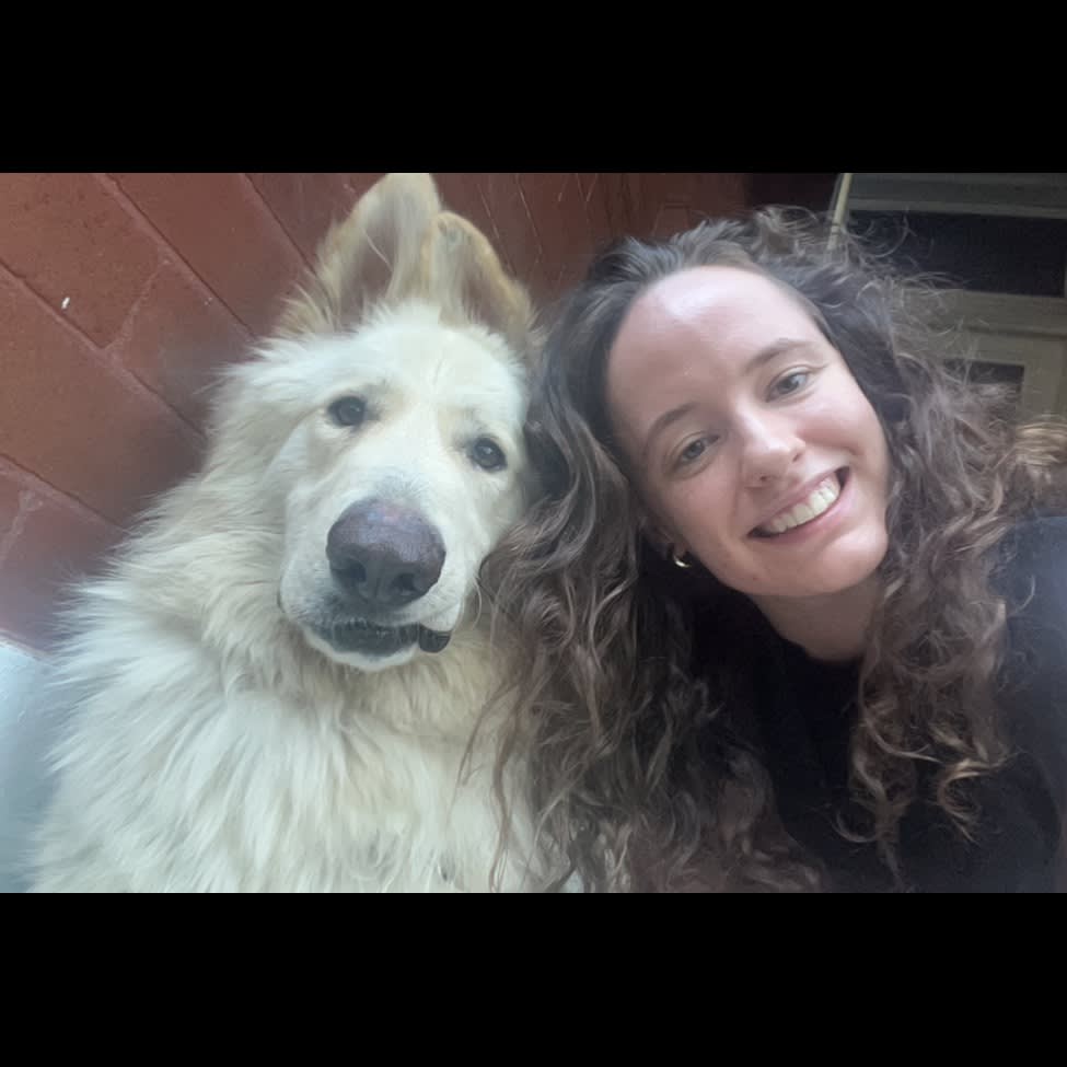 Photo in Sitter's gallery