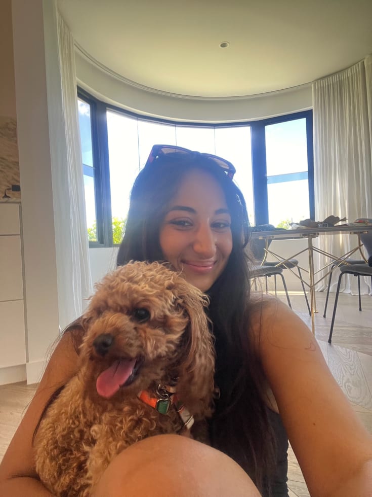 Photo in Sitter's gallery