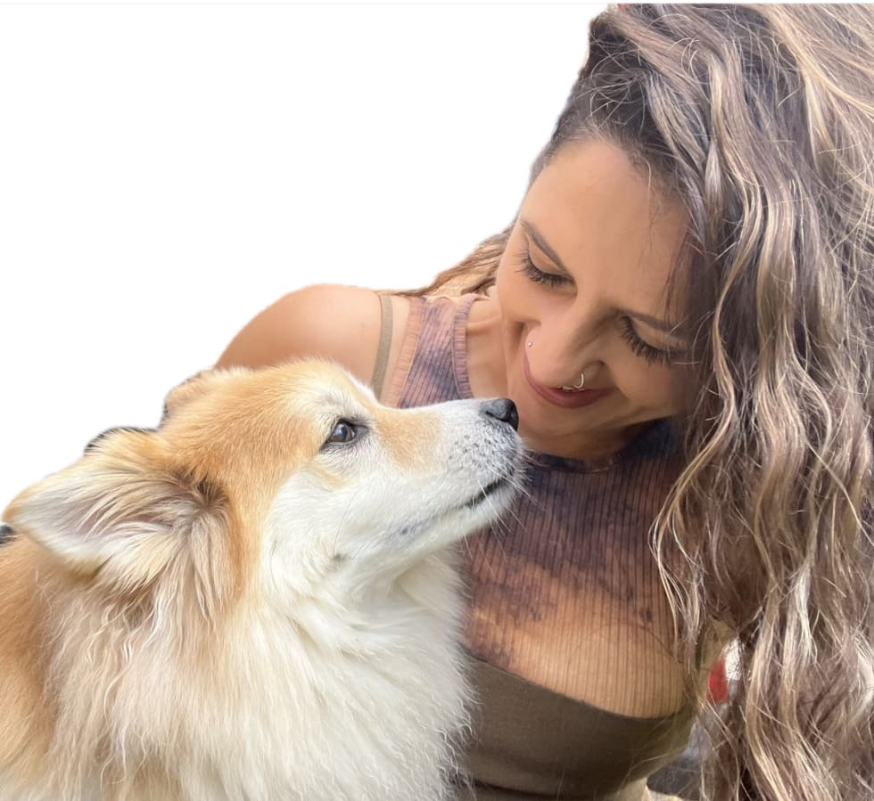 Photo in Sitter's gallery