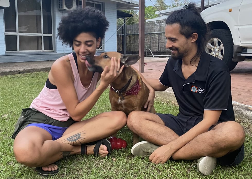 Photo in Sitter's gallery