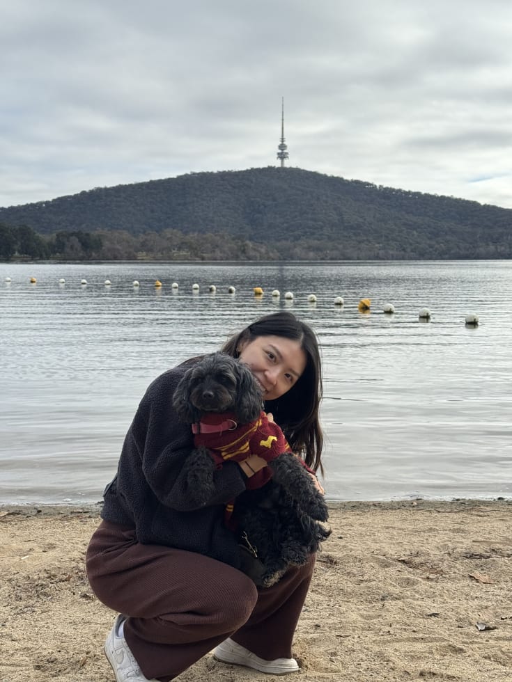 Photo in Sitter's gallery