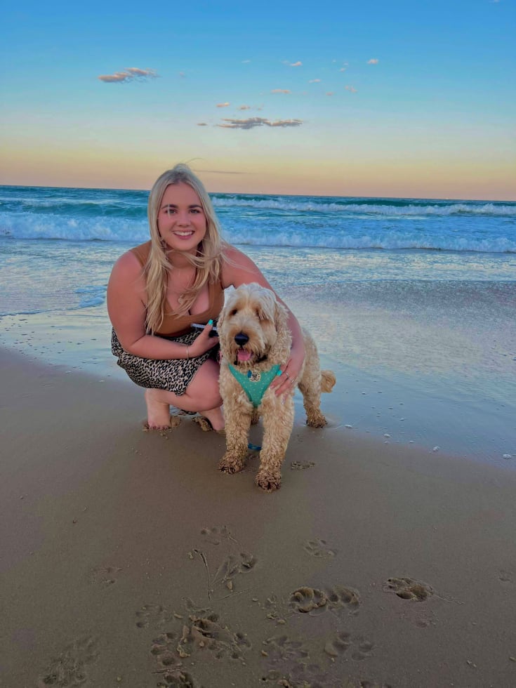 Photo in Sitter's gallery