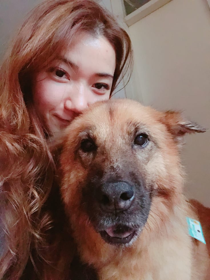 Photo in Sitter's gallery