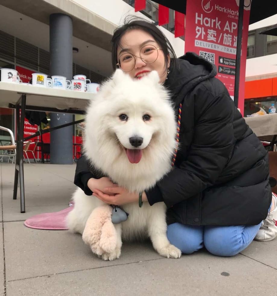 Photo in Sitter's gallery