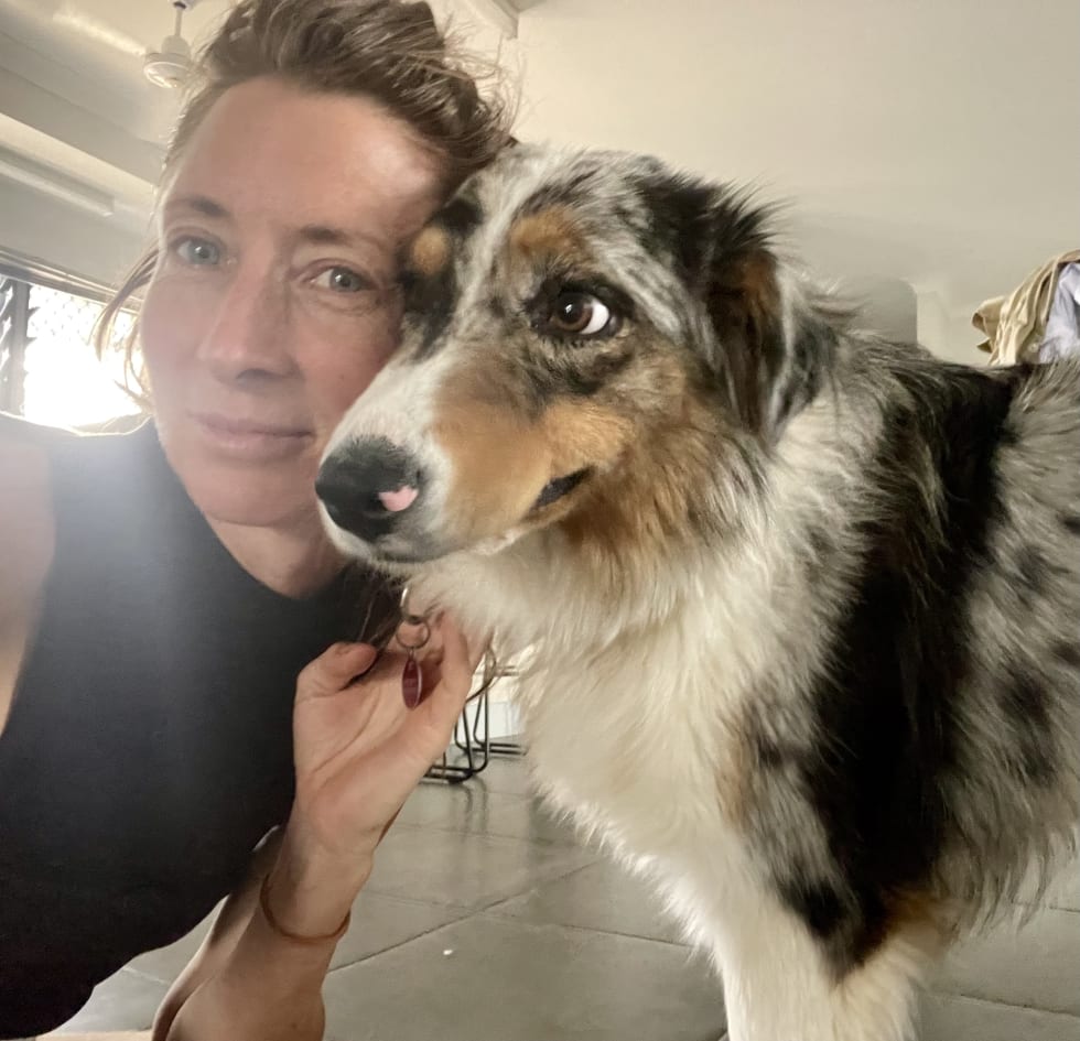 Photo in Sitter's gallery