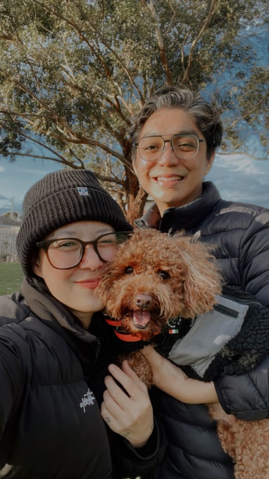 Photo in Sitter's gallery